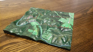 Custom 3D Map