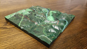 Custom 3D Map