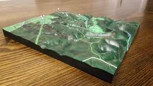 Custom 3D Map